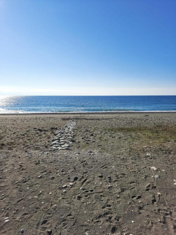 Гостевой Дом La Mer Picunda Zewnętrze zdjęcie